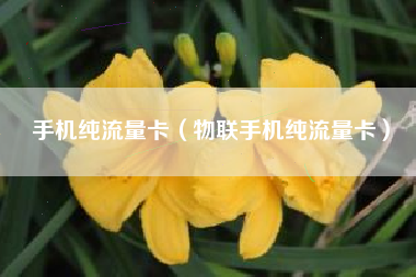 手机纯流量卡（物联手机纯流量卡）