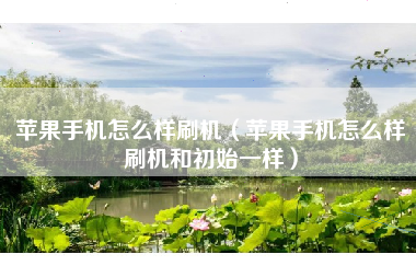 苹果手机怎么样刷机（苹果手机怎么样刷机和初始一样）