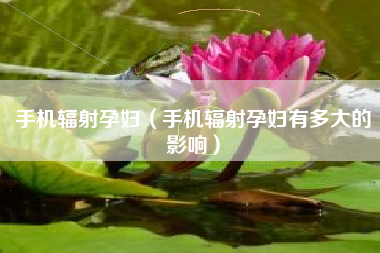 手机辐射孕妇（手机辐射孕妇有多大的影响）