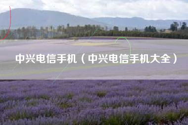 中兴电信手机（中兴电信手机大全）