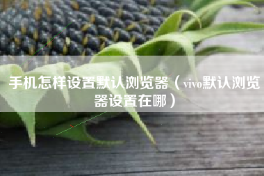 手机怎样设置默认浏览器（vivo默认浏览器设置在哪）