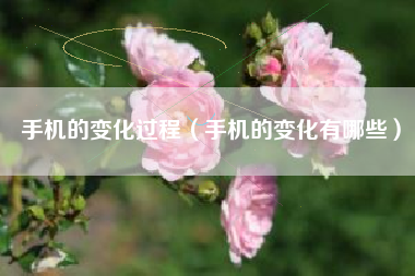 手机的变化过程（手机的变化有哪些）