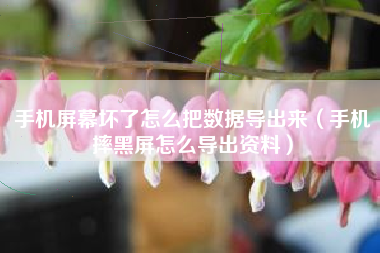 手机屏幕坏了怎么把数据导出来（手机摔黑屏怎么导出资料）