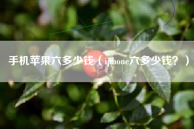 手机苹果六多少钱（iphone六多少钱？）
