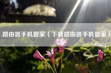 路由器手机管家（下载路由器手机管家）