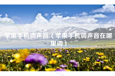 苹果手机调声音（苹果手机调声音在哪里调）