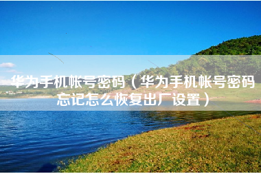 华为手机帐号密码（华为手机帐号密码忘记怎么恢复出厂设置）