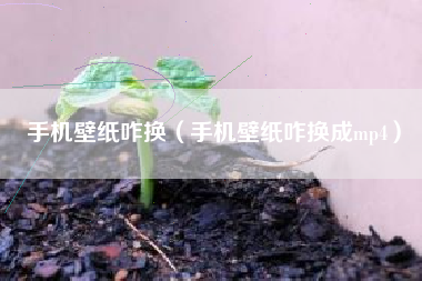 手机壁纸咋换（手机壁纸咋换成mp4）