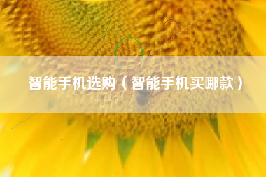 智能手机选购（智能手机买哪款）