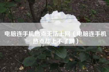 电脑连手机热点无法上网（电脑连手机热点却上不了网）
