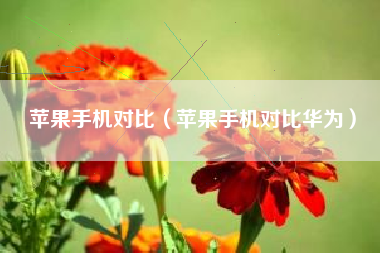苹果手机对比（苹果手机对比华为）