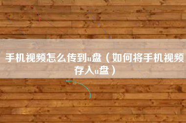 手机视频怎么传到u盘（如何将手机视频存入u盘）