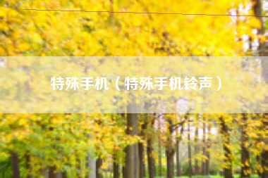 特殊手机（特殊手机铃声）