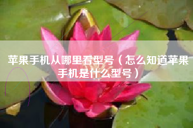 苹果手机从哪里看型号（怎么知道苹果手机是什么型号）