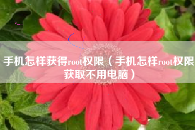 手机怎样获得root权限（手机怎样root权限获取不用电脑）