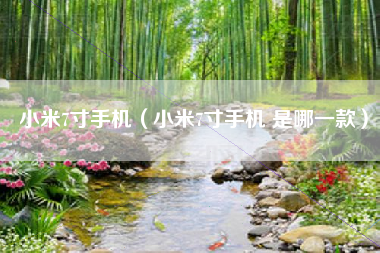 小米7寸手机（小米7寸手机 是哪一款）