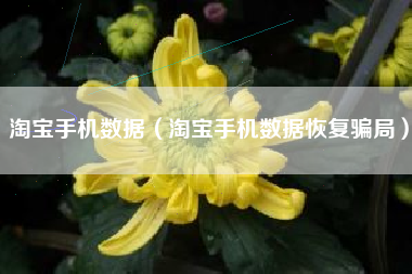 淘宝手机数据（淘宝手机数据恢复骗局）