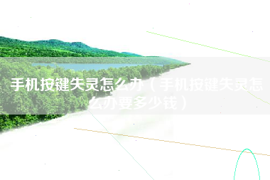 手机按键失灵怎么办（手机按键失灵怎么办要多少钱）