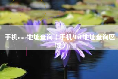 手机mac地址查询（手机MAC地址查询区域）