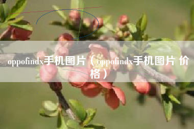 oppofindx手机图片（oppofindx手机图片 价格）