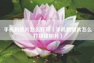 手机的照片怎么打印（手机的照片怎么打印成相片）