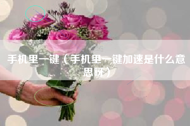 手机里一键（手机里一键加速是什么意思呀）