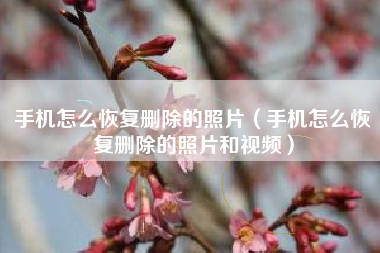 手机怎么恢复删除的照片（手机怎么恢复删除的照片和视频）