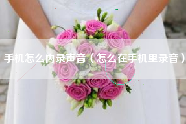 手机怎么内录声音（怎么在手机里录音）