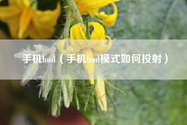 手机hud（手机hud模式如何投射）