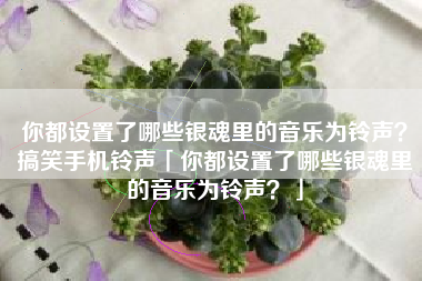 你都设置了哪些银魂里的音乐为铃声？搞笑手机铃声「你都设置了哪些银魂里的音乐为铃声？」