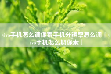 vivo手机怎么调像素手机分辨率怎么调「vivo手机怎么调像素」