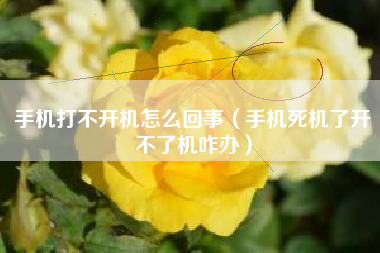 手机打不开机怎么回事（手机死机了开不了机咋办）