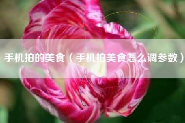 手机拍的美食（手机拍美食怎么调参数）