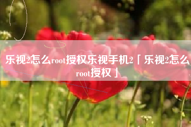 乐视2怎么root授权乐视手机2「乐视2怎么root授权」