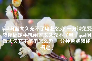 ipad闲置太久充不了电怎么办 一分钟免费教你搞定手机闲置太久充不了电「ipad闲置太久充不了电怎么办 一分钟免费教你搞定」