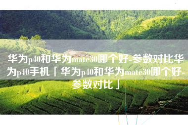 华为p40和华为mate30哪个好-参数对比华为p40手机「华为p40和华为mate30哪个好-参数对比」