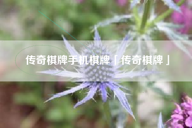 传奇棋牌手机棋牌「传奇棋牌」