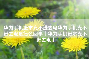 华为手机进水充不进去电华为手机充不进去电是怎么回事「华为手机进水充不进去电」