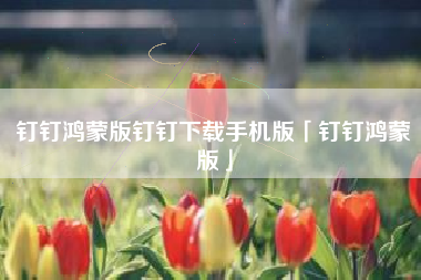 钉钉鸿蒙版钉钉下载手机版「钉钉鸿蒙版」