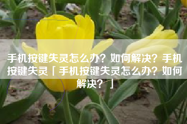 手机按键失灵怎么办？如何解决？手机按键失灵「手机按键失灵怎么办？如何解决？」