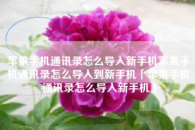 苹果手机通讯录怎么导入新手机苹果手机通讯录怎么导入到新手机「苹果手机通讯录怎么导入新手机」