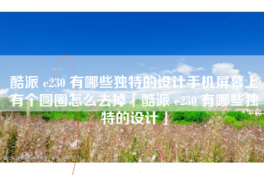 酷派 e230 有哪些独特的设计手机屏幕上有个圆圈怎么去掉「酷派 e230 有哪些独特的设计」
