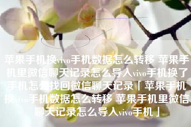 苹果手机换vivo手机数据怎么转移 苹果手机里微信聊天记录怎么导入vivo手机换了手机怎么找回微信聊天记录「苹果手机换vivo手机数据怎么转移 苹果手机里微信聊天记录怎么导入vivo手机」