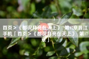 首页＞《都说月亮在天上》  第17章晋江手机「首页＞《都说月亮在天上》  第17章」