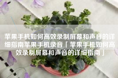 苹果手机如何高效录制屏幕和声音的详细指南苹果手机录音「苹果手机如何高效录制屏幕和声音的详细指南」