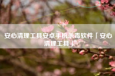 安心清理工具安卓手机杀毒软件「安心清理工具」