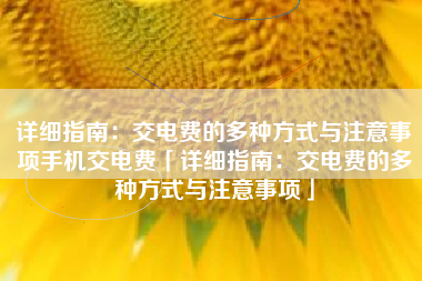 详细指南：交电费的多种方式与注意事项手机交电费「详细指南：交电费的多种方式与注意事项」
