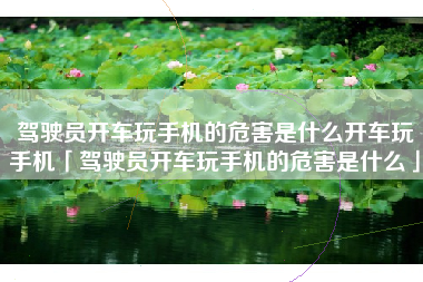 驾驶员开车玩手机的危害是什么开车玩手机「驾驶员开车玩手机的危害是什么」 驾驶员开车玩手机的危害是什么开车玩手机「驾驶员开车玩手机的危害是什么」