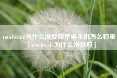 touchscale为什么没反应苹果手机怎么称重「touchscale为什么没反应」