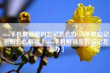 vivo手机解锁密码忘记怎么办vivo手机忘记密码怎么解锁「vivo手机解锁密码忘记怎么办」